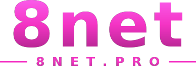 8net logo